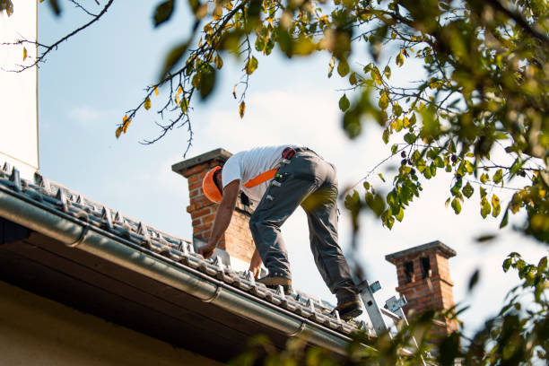 Quick and Trustworthy Emergency Roof Repair Services in Warren, OR