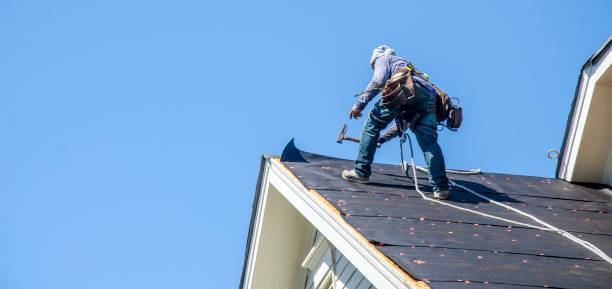Roof Gutter Cleaning in Warren, OR
